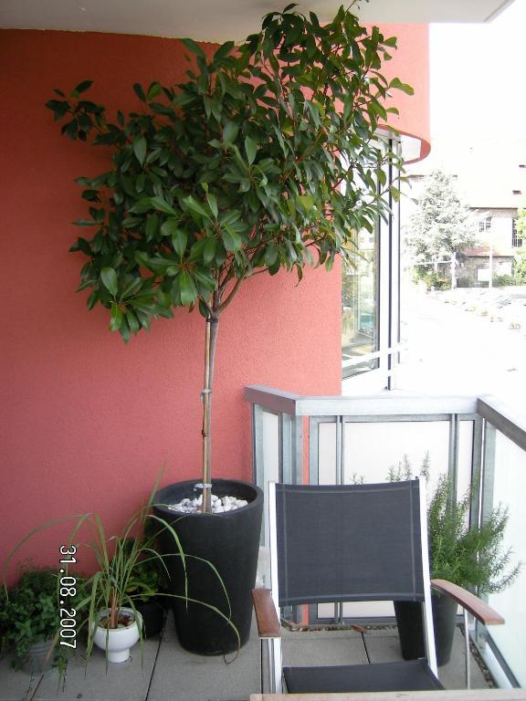 Appartement Am Salamanderpark Kornwestheim Exterior foto